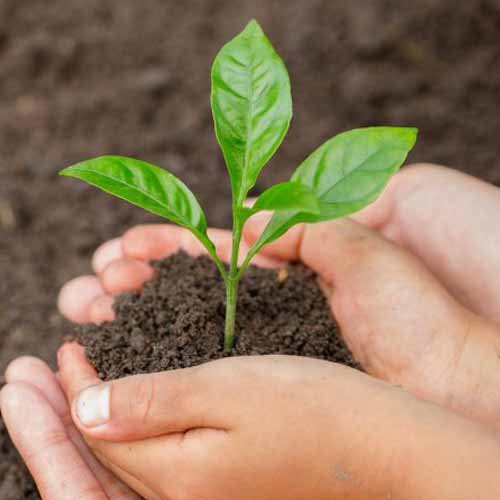 ColossusCAREResource Development